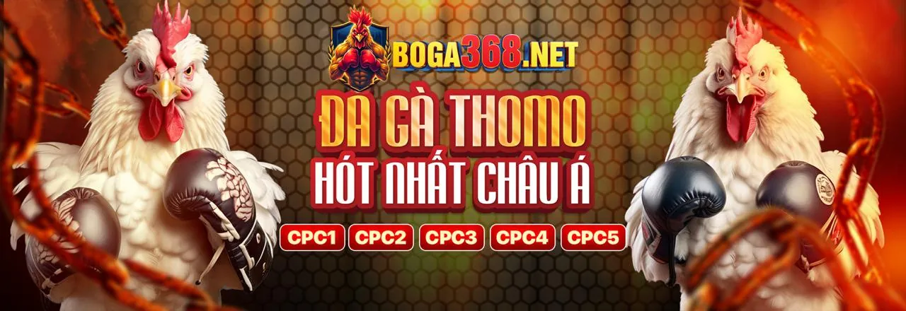 Đá gà ibet68 win 2026 trực tuyến